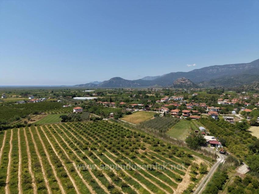 5100 M² Großes Grundstück In Der Nähe Des Stadtzentrums Von Dalyan Zu Verkaufen.