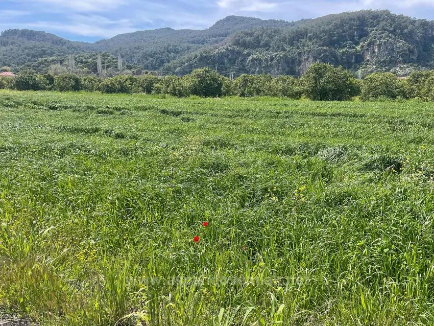 In Okçular Einem 736M2 Großen, 250M2 Großen Bau Genehmigten Verkäuflichen Grundstück