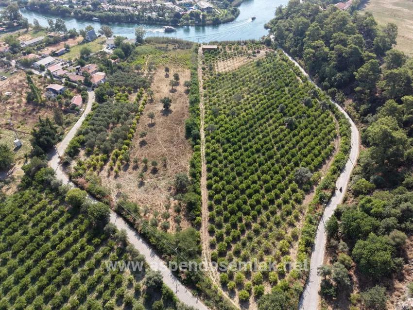 Im Köyceğiz Çandır Mahallesinde kanala sıfır 20.000m2 satılık Feld
