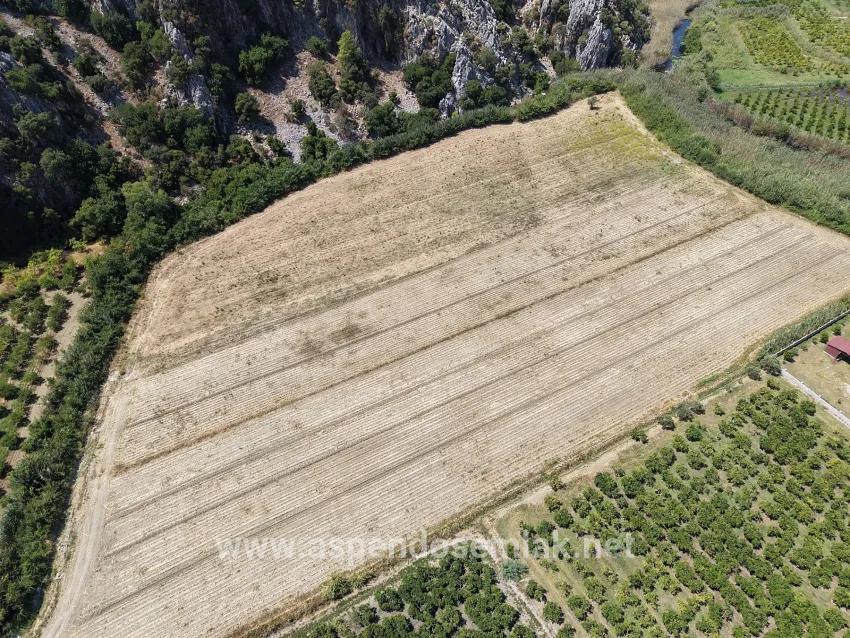 Feld Zu verkaufen in Dalyan Bz. Ortaca - Feld-Zonierung - 20.786 m²