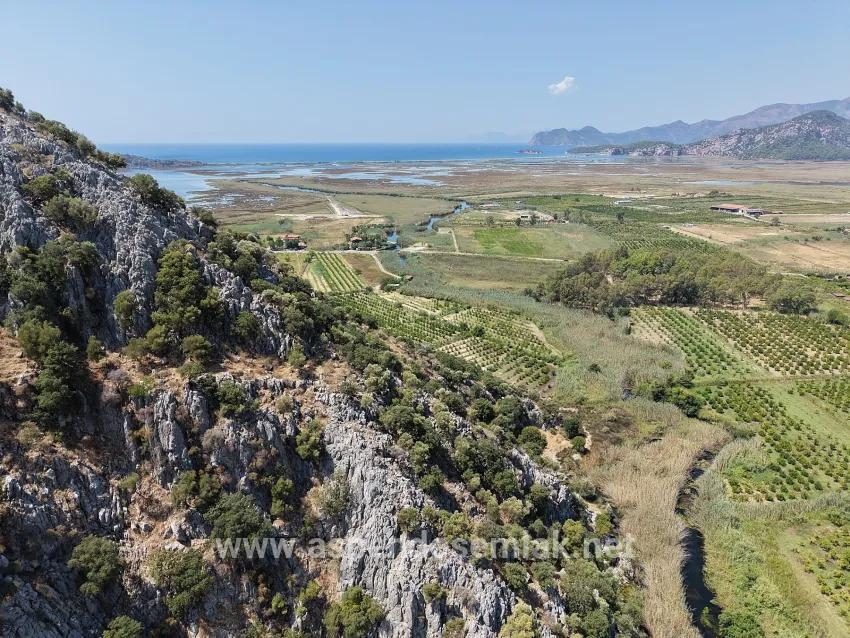 Feld Zu verkaufen in Dalyan Bz. Ortaca - Feld-Zonierung - 20.786 m²