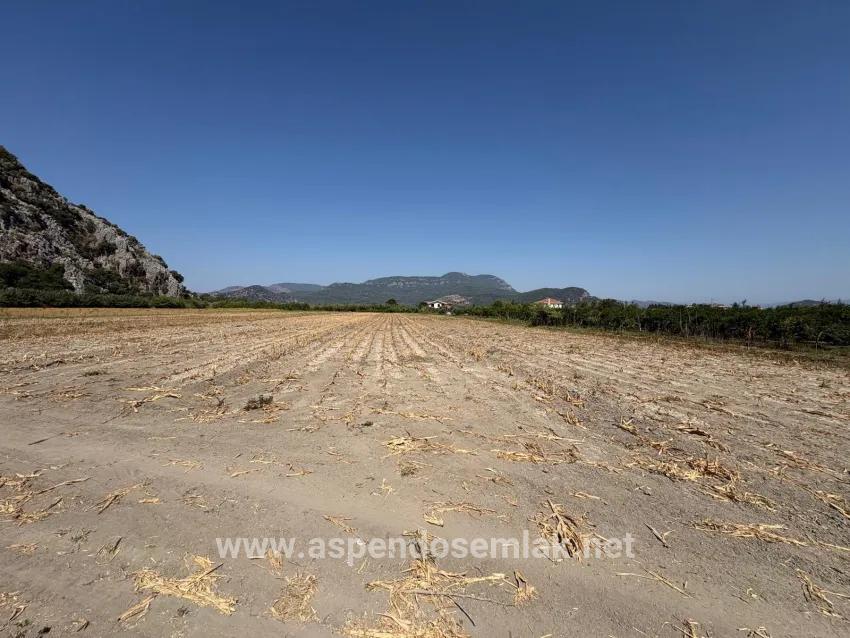 Feld Zu verkaufen in Dalyan Bz. Ortaca - Feld-Zonierung - 20.786 m²
