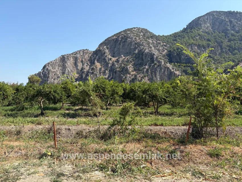 Feld Zu verkaufen in Dalyan Bz. Ortaca - Feld-Zonierung - 20.786 m²