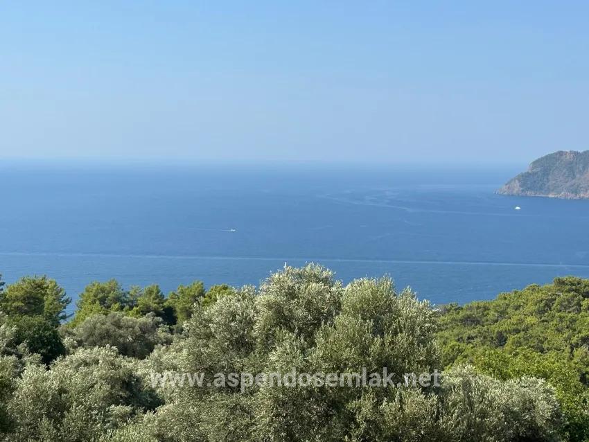 Feld Zu verkaufen in Çandır Bz. Köyceğiz - Feld-Zonierung - 21.000 m²