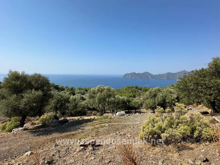 Feld Zu verkaufen in Çandır Bz. Köyceğiz - Feld-Zonierung - 21.000 m²