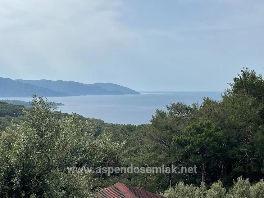 Feld Zu verkaufen in Ekincik Bz. Köyceğiz - Olive-Zonierung - 7.000 m²
