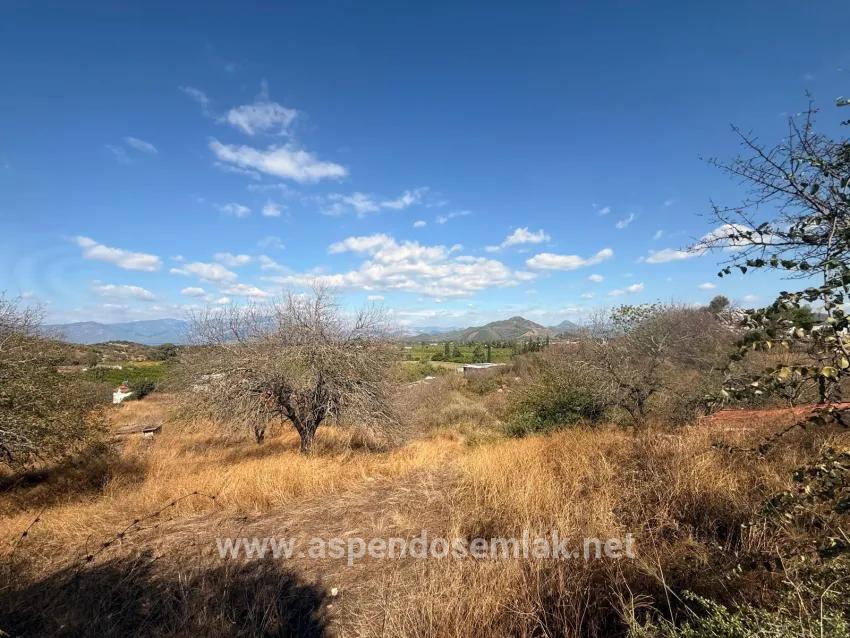 Feld Zu verkaufen in Dalyan Bz. Ortaca - Feld-Zonierung - 5.000 m²