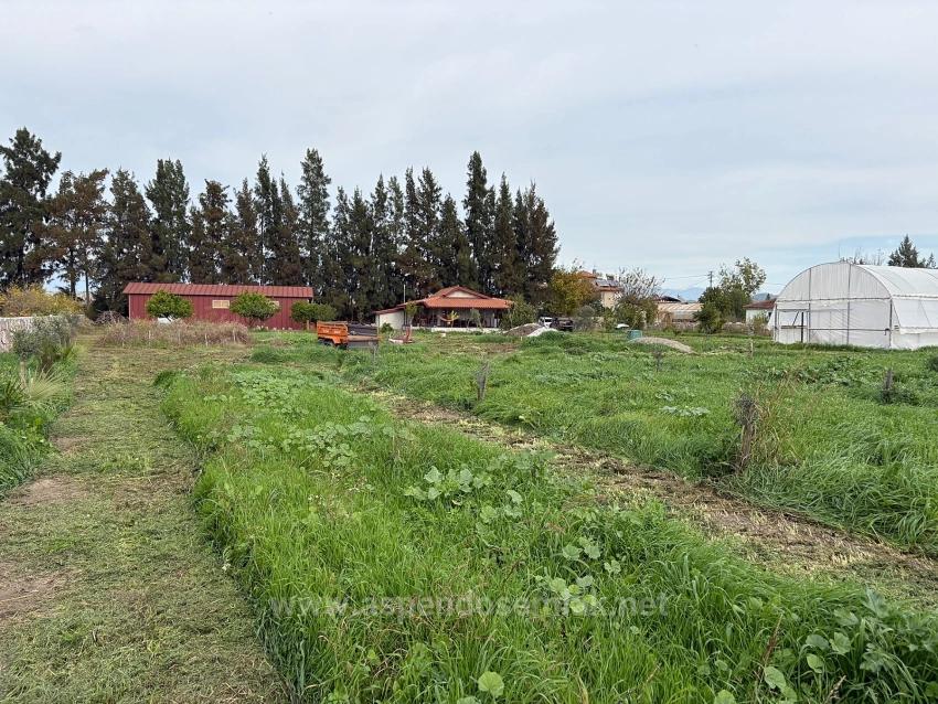 19.663 M² Ackerland Und Haus In Eskiköy