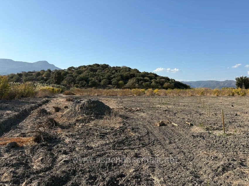 19.663 M² Ackerland Und Haus In Eskiköy