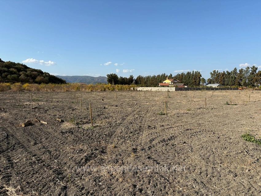 19.663 M² Ackerland Und Haus In Eskiköy