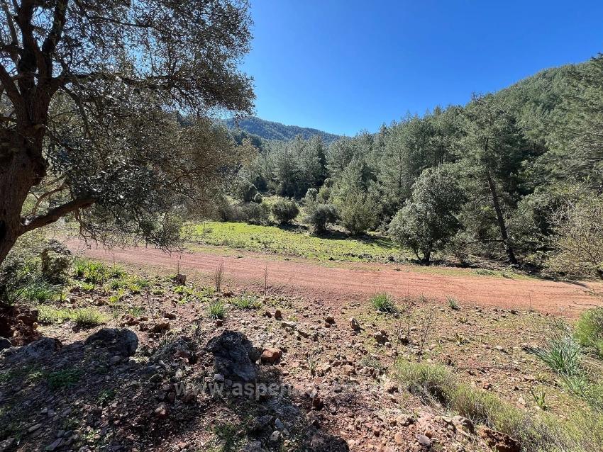 Grundstück Zum Verkauf In Gökbel, Umgeben Von Natur Und Wald.