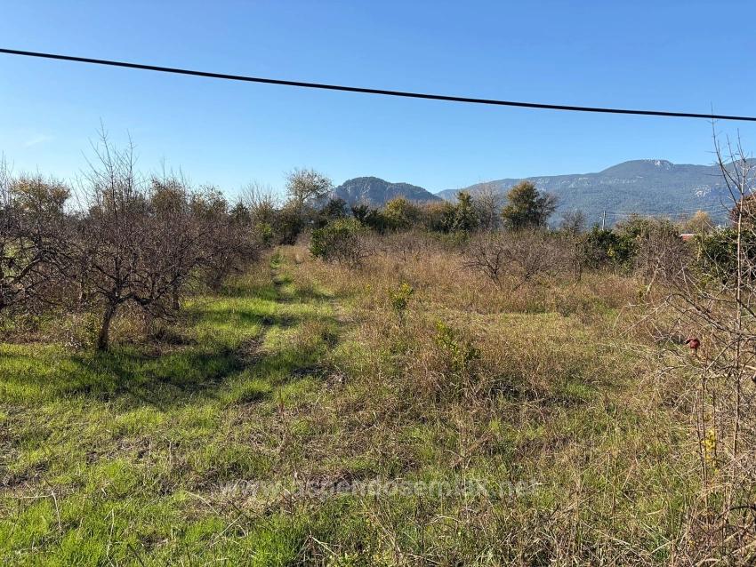 4.541 M² Großer Garten Zum Verkauf In Dalyan.