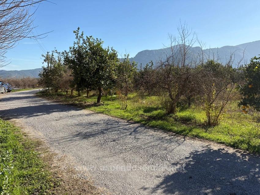 4.541 M² Großer Garten Zum Verkauf In Dalyan.