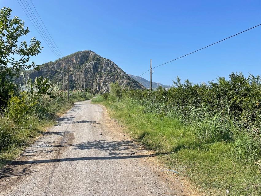 10.000 M² Großer Granatapfelgarten Zum Verkauf In Der Gegend Von Dalyan Arıkbaşı Gerendüzü.