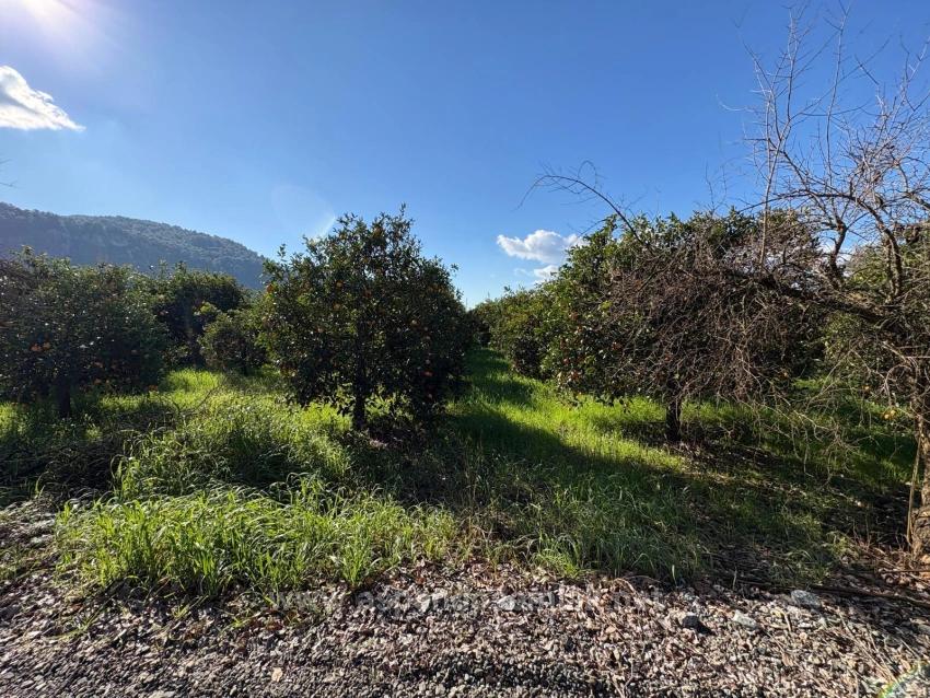 4.326 M² Großes Grundstück Im Wohngebiet Von Okçular Zu Verkaufen.