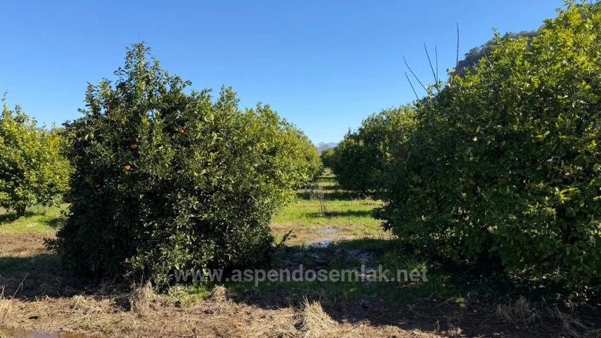 2.218M2 Grundstück Zum Verkauf In Okçular Marmarlı