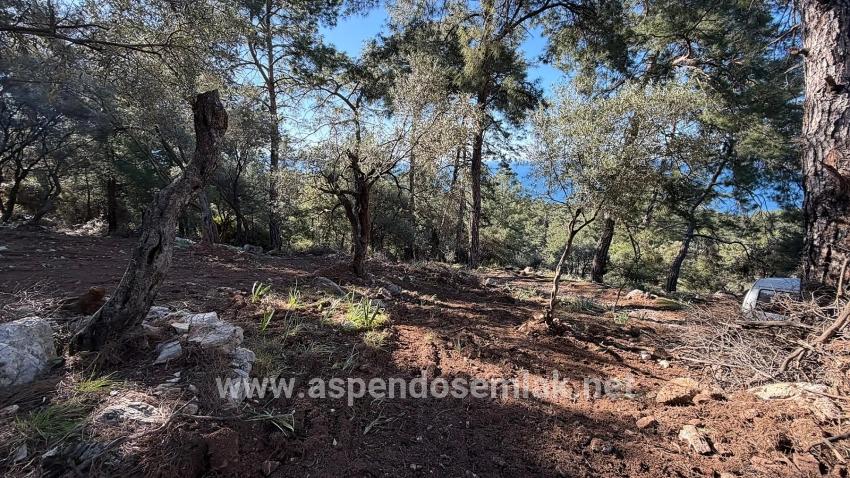 Feld Zu verkaufen in Çandır Bz. Köyceğiz - Gehäuse-Zonierung - 5.715 m²