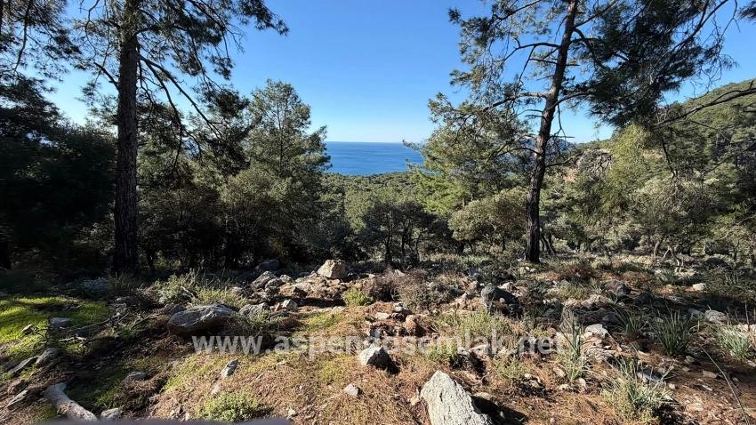 Feld Zu verkaufen in Çandır Bz. Köyceğiz - Gehäuse-Zonierung - 5.715 m²