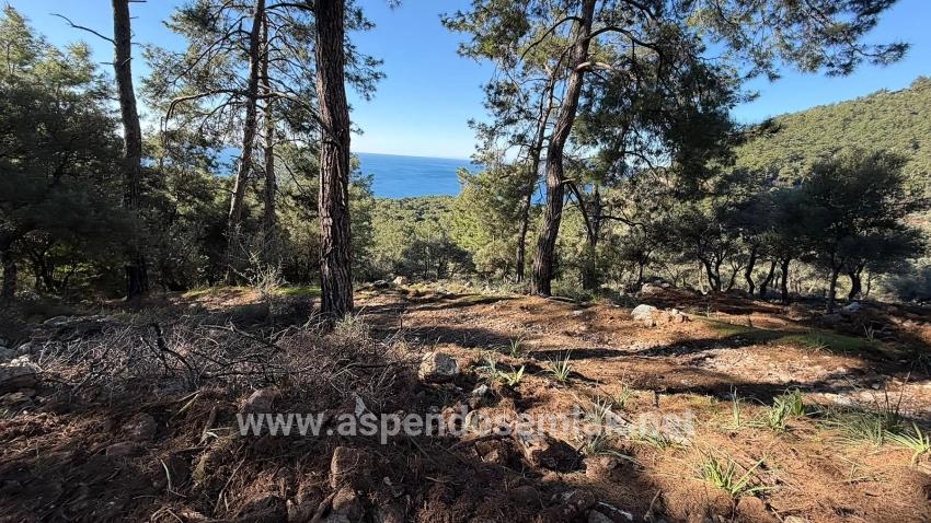 Feld Zu verkaufen in Çandır Bz. Köyceğiz - Gehäuse-Zonierung - 5.715 m²