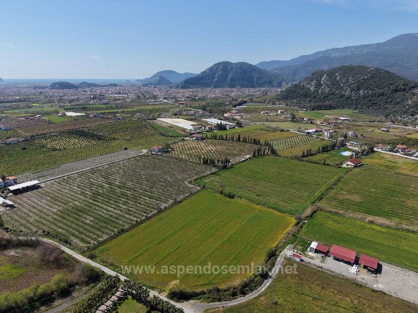 17.550 M2 Weinberg-Bahce Zum Verkauf In Der Nähe Des Dalyan Centers