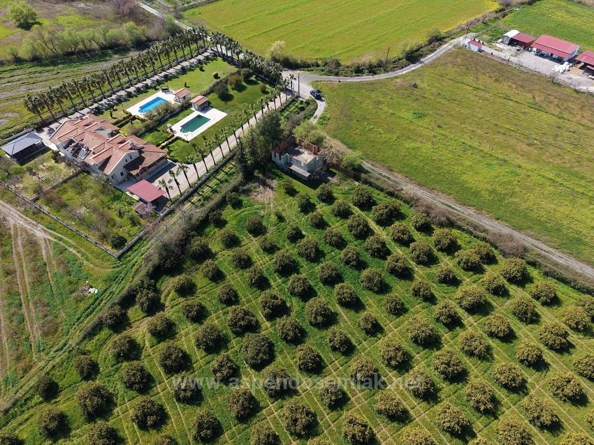 17.550 M2 Weinberg-Bahce Zum Verkauf In Der Nähe Des Dalyan Centers