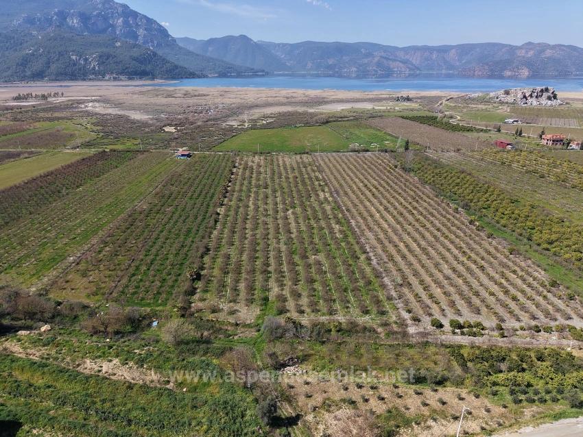 16.710 M² Granatapfelgarten Zum Verkauf Mit Seeblick In Eskiköy