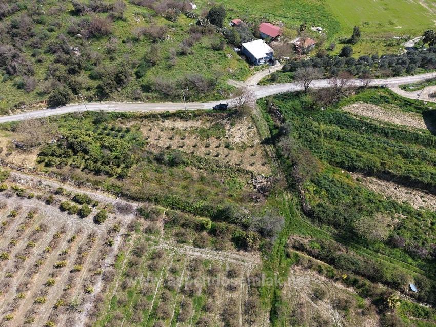 16.710 M² Granatapfelgarten Zum Verkauf Mit Seeblick In Eskiköy