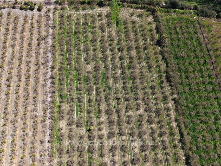 16.710 M² Granatapfelgarten Zum Verkauf Mit Seeblick In Eskiköy