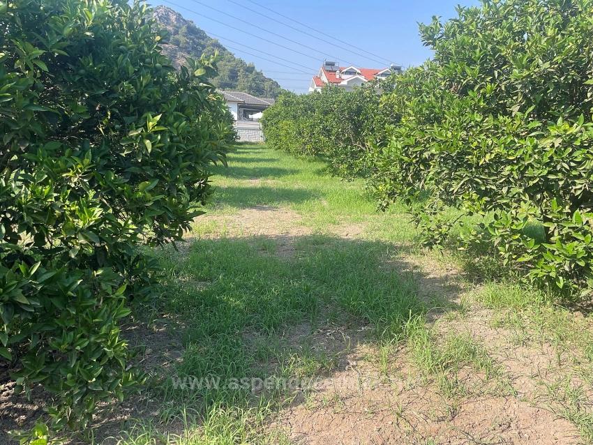 722M2 Grundstück Zum Verkauf In Dalyan Gülpınar