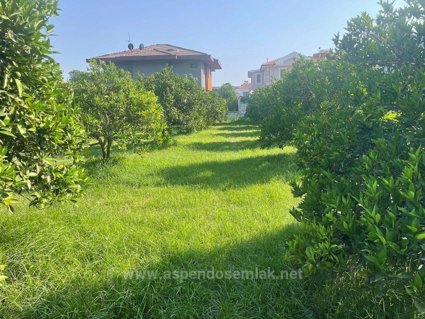 722M2 Grundstück Zum Verkauf In Dalyan Gülpınar