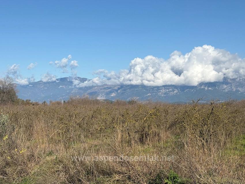 23.000 M² Freistehendes Feld Und Garten Zum Verkauf In Tepearasın