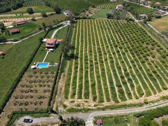 5100 M² Großes Grundstück In Der Nähe Des Stadtzentrums Von Dalyan Zu Verkaufen.