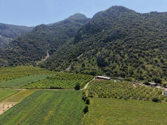 5100 M² Großes Grundstück In Der Nähe Des Stadtzentrums Von Dalyan Zu Verkaufen.