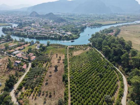 Im Köyceğiz Çandır Mahallesinde kanala sıfır 20.000m2 satılık Feld