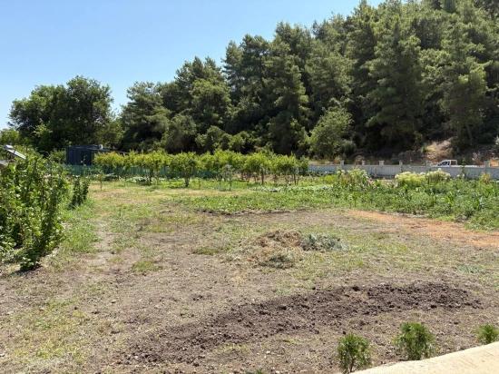 Freistehendes Holzhaus Mit 120 M² Wohnfläche Auf Einem 2500 M² Großen Grundstück In Der Gegend Von Dalyan Karadağ