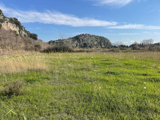 6800 M² Großes Grundstück In Dalyan Zu Verkaufen, 5% Wohnbebauungszone.