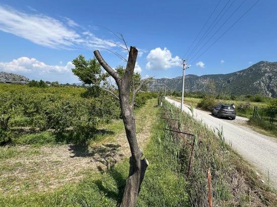 5.100 M² Großes Grundstück In Dalyan, Gebiet Maraş, Zu Verkaufen, Ausgewiesen Für 5% Wohnnutzung.