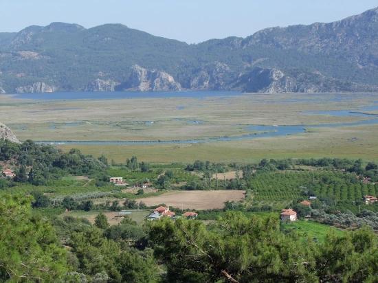 19.334 M² Großes Grundstück Zum Verkauf In Çandır, Köyceğiz.