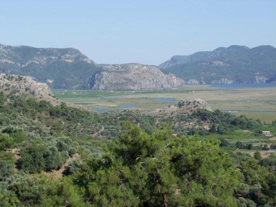 19.334 M² Großes Grundstück Zum Verkauf In Çandır, Köyceğiz.