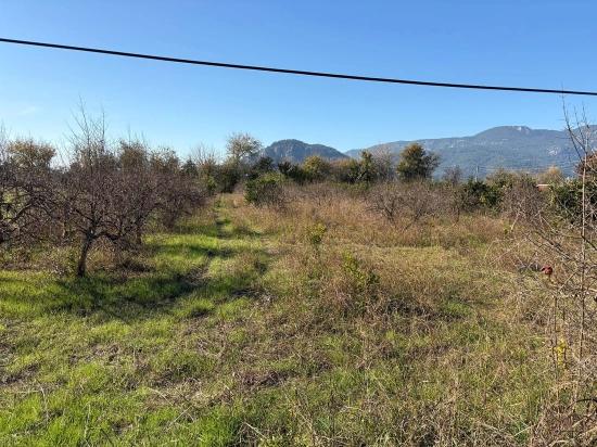 4.541 M² Großer Garten Zum Verkauf In Dalyan.