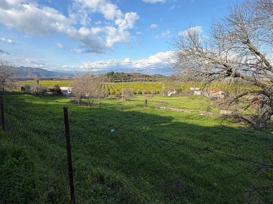 11.230 M² Großes Grundstück Mit Seeblick In Dalyan Zu Verkaufen.