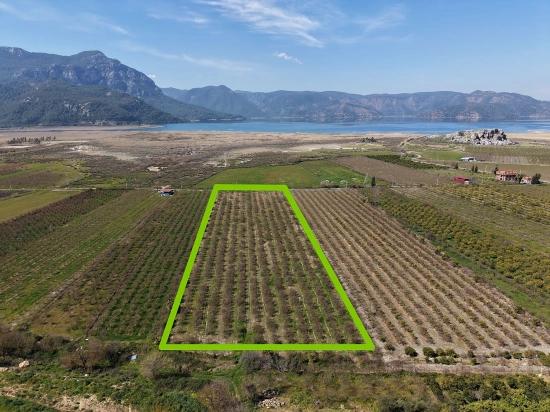 16.710 M² Granatapfelgarten Zum Verkauf Mit Seeblick In Eskiköy