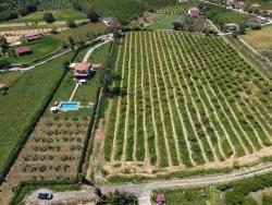 Feld Zu Verkaufen in Dalyan Bz. Ortaca - Feld-Zonierung - 5.100 m²