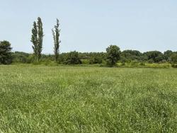 2100 M2 Großes Grundstück Zum Verkauf In Okçular Marmaris.