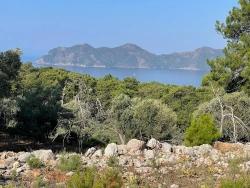 Feld Zu Verkaufen in Çandır Bz. Köyceğiz - Gehäuse-Zonierung - 10.481 m²