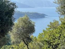 Feld Zu Verkaufen in Çandır Bz. Köyceğiz - Gehäuse-Zonierung - 10.481 m²