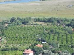 Feld Zu Verkaufen in Çandır Bz. Köyceğiz - Feld-Zonierung - 19.334 m²