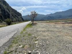 Feld Zu Verkaufen in Dalyan Bz. Ortaca - Gehäuse-Zonierung - 19.600 m²