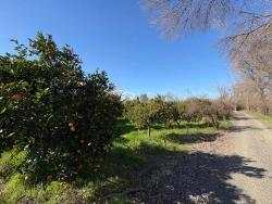 Land Zu Verkaufen in Okçular Bz. Ortaca - Gehäuse-Zonierung - 4.326 m²