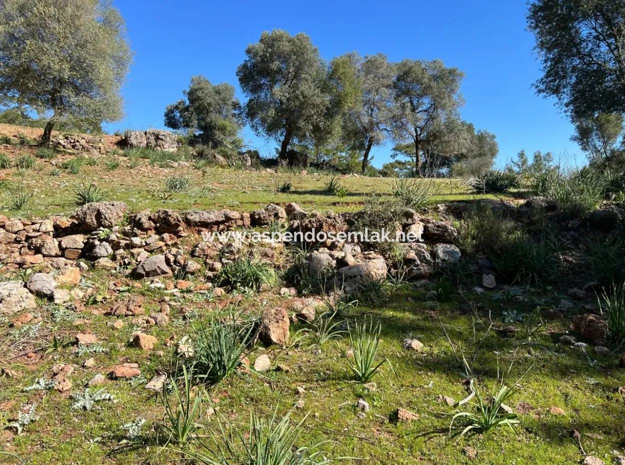 Grundstück Zum Verkauf In Natur Und Wald In Gökbel